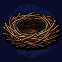 Bird Nest